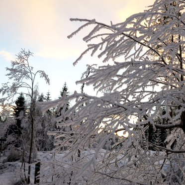winter magic