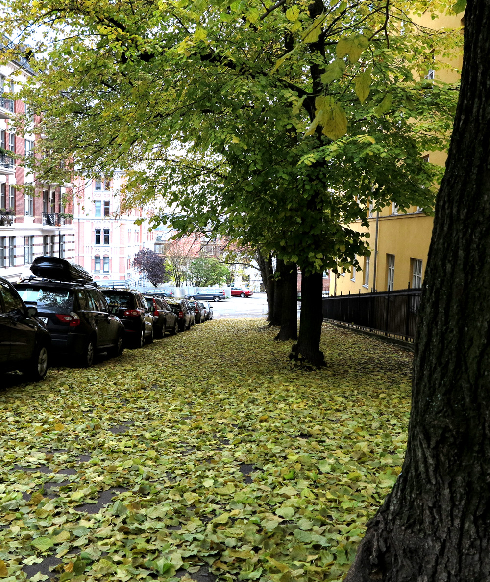 autumn
