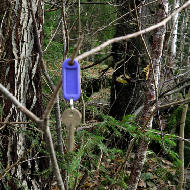 lost key
