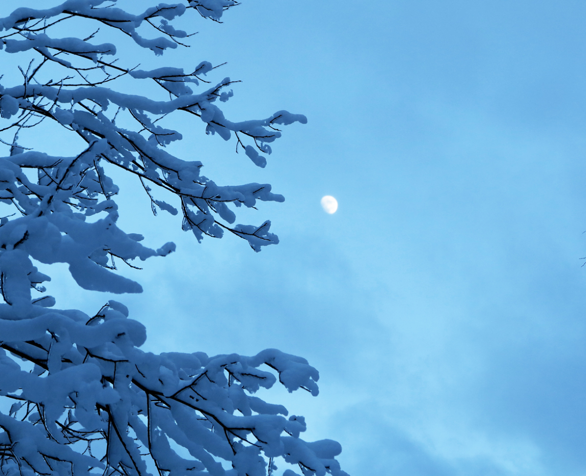moon