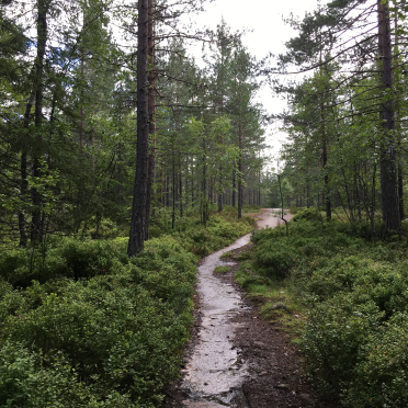 kjekstadmarka
