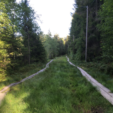 vardåsen