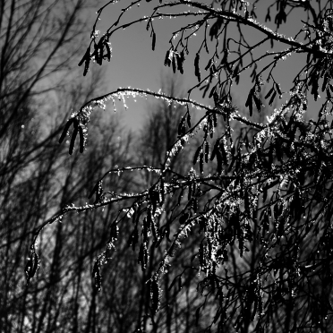 ice crystals