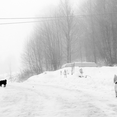winter