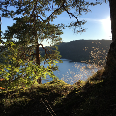 view