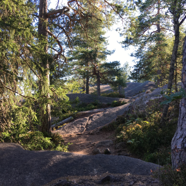 vardåsen