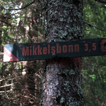 Mikkelsbonn…