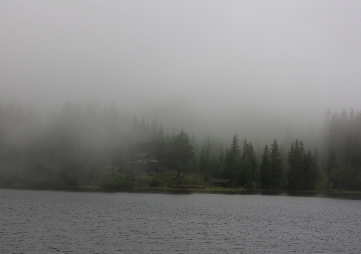 fog