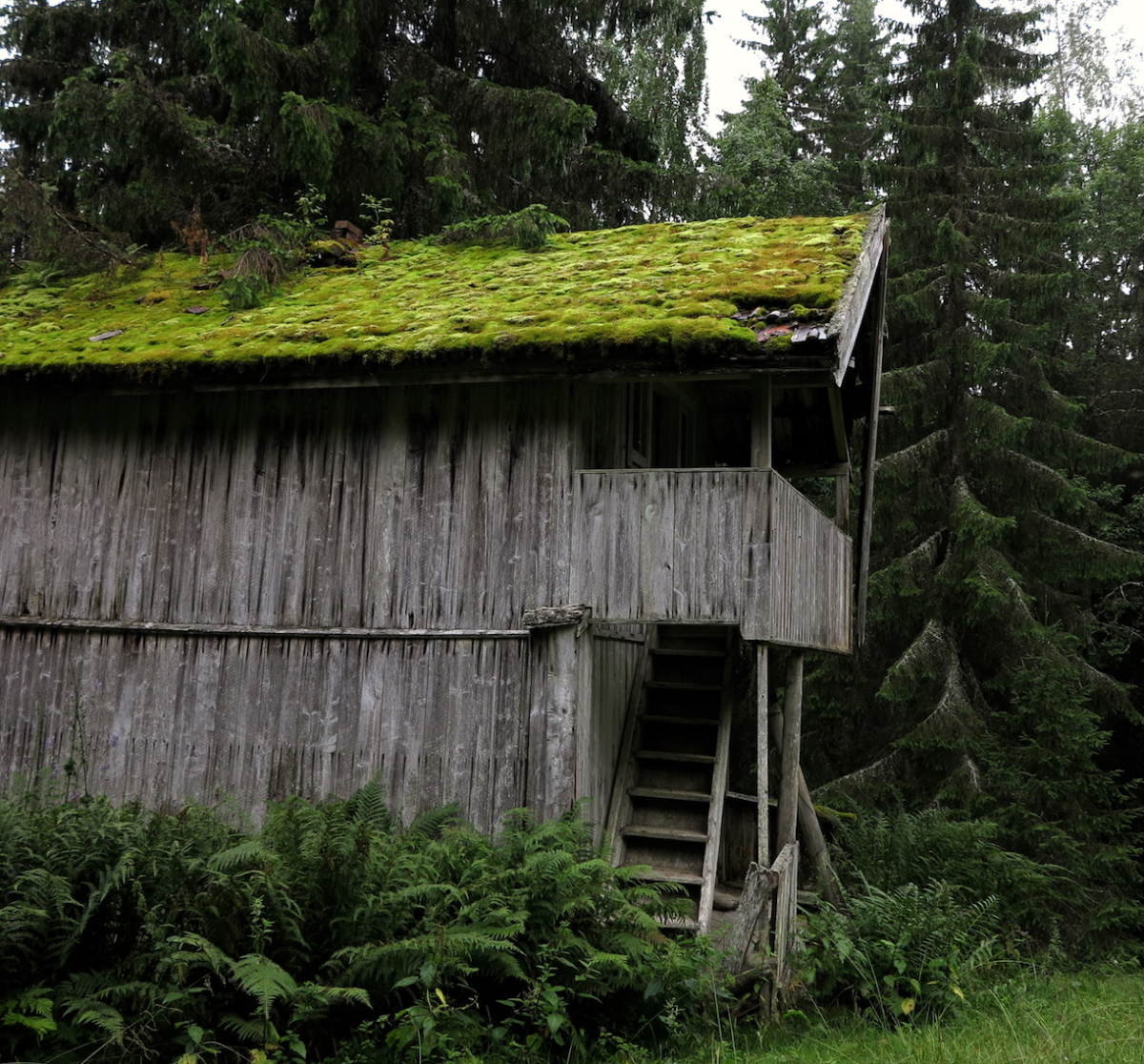 Ingeborgseter