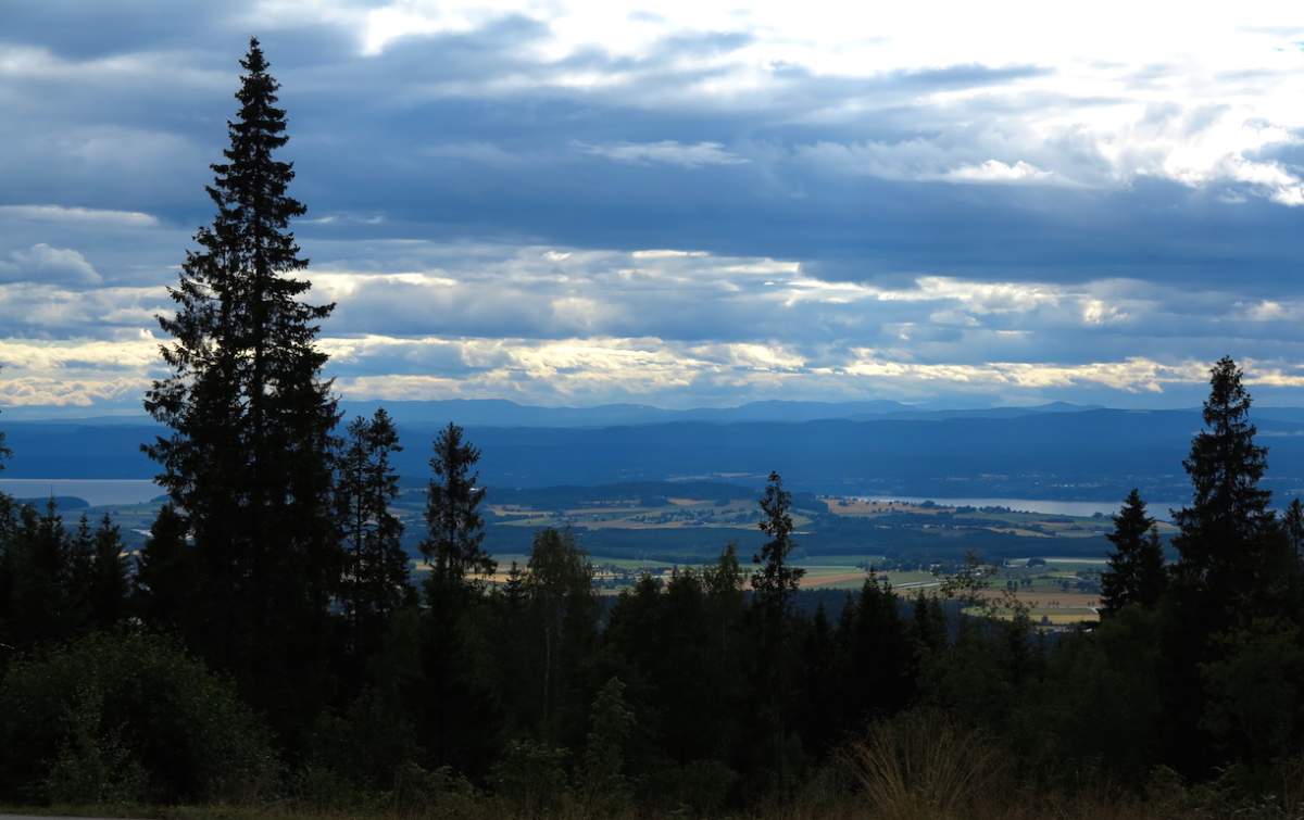 view