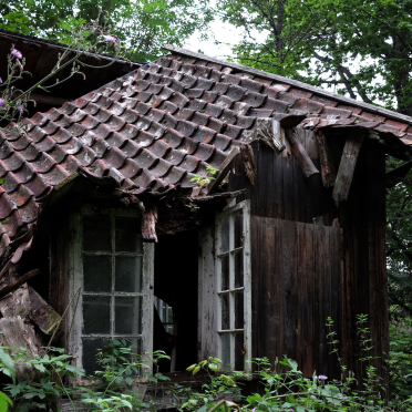 tiles