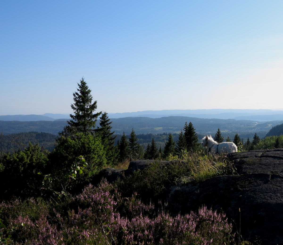 Bergsåstoppen