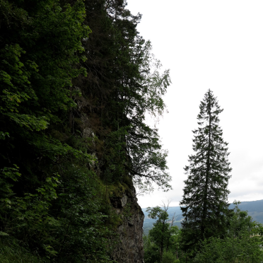 steep