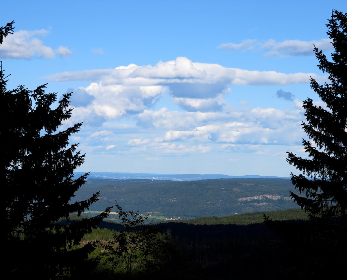 measly view