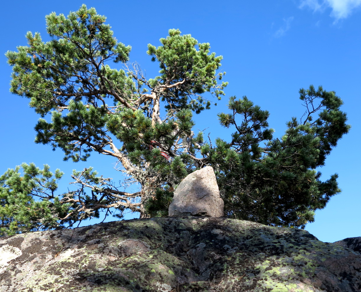 you know you are at the top…