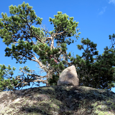 you know you are at the top…