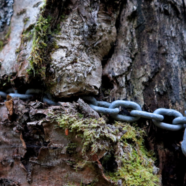 chains