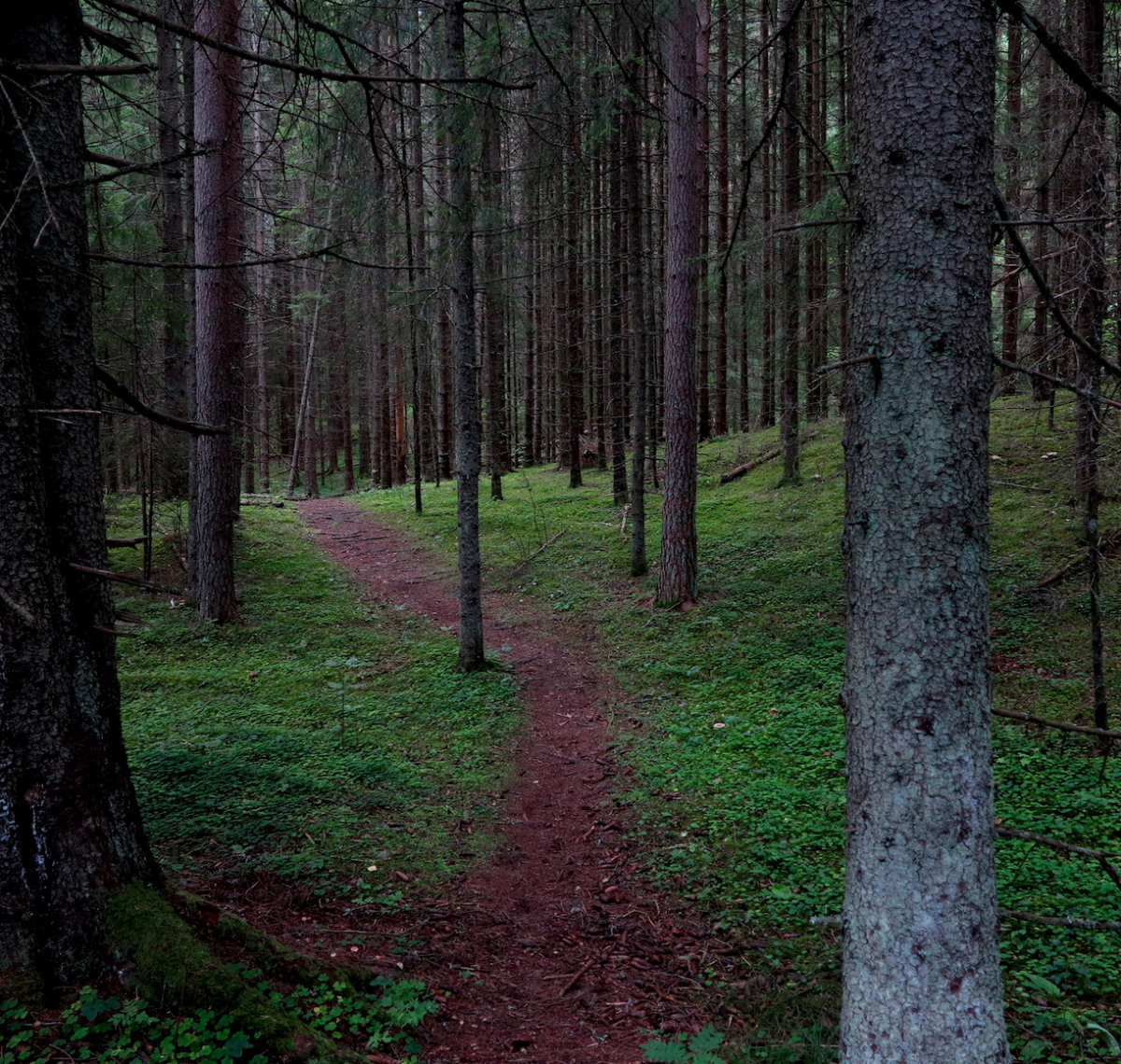 path of least resistance