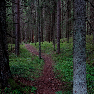 path of least resistance