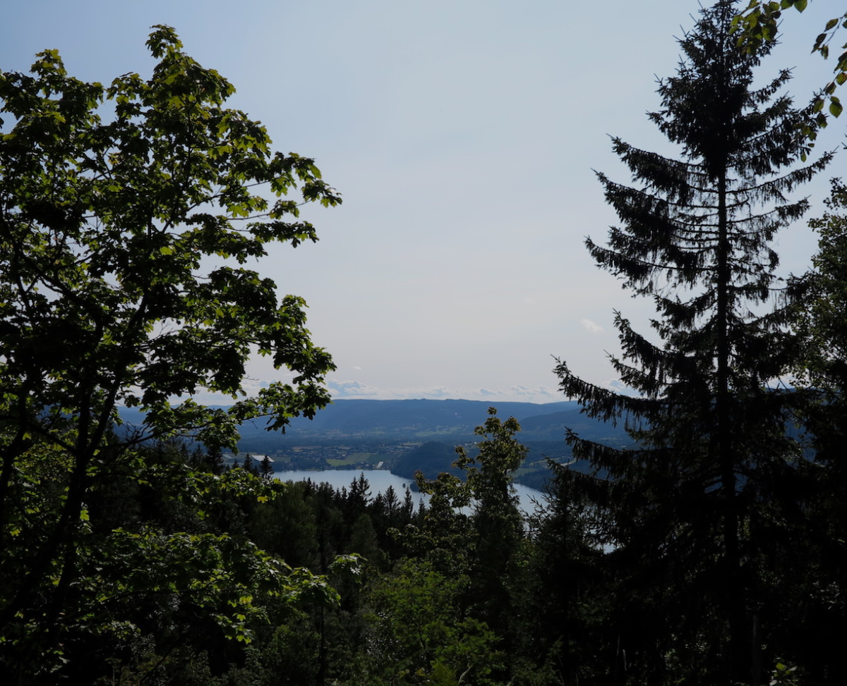 view…