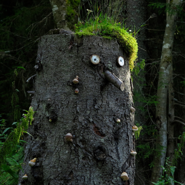 guardian
