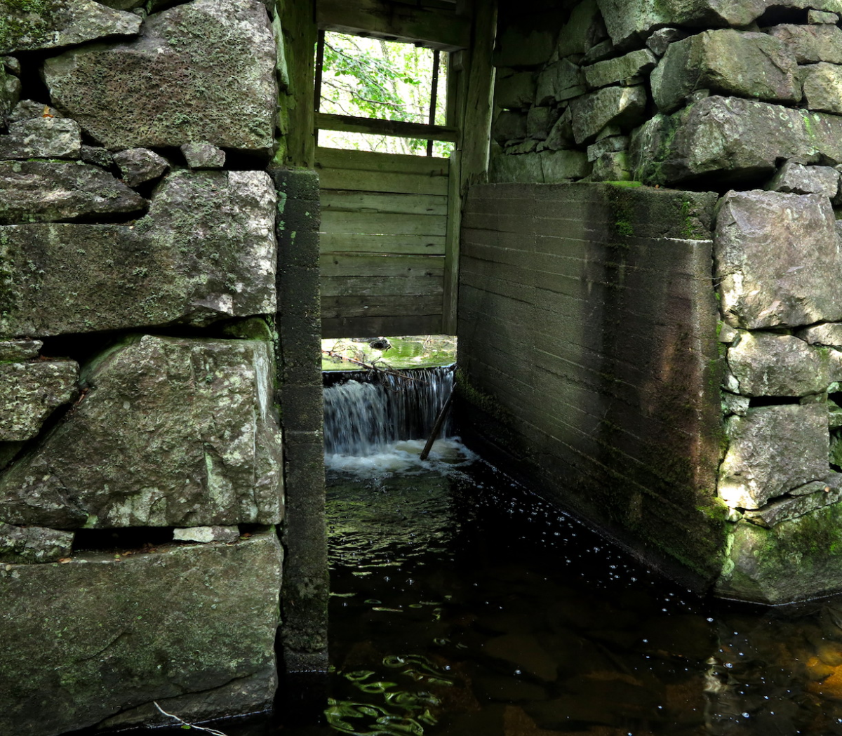 Niskinnvann