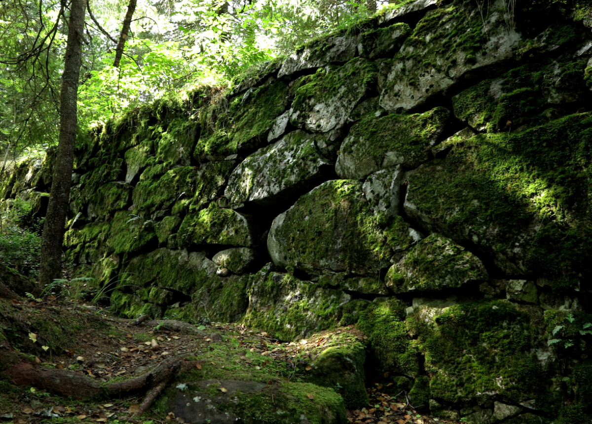 Niskinnvann