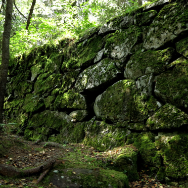 Niskinnvann