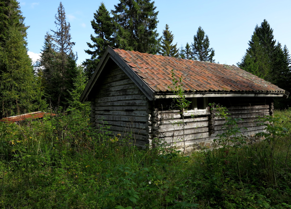 knappnæring