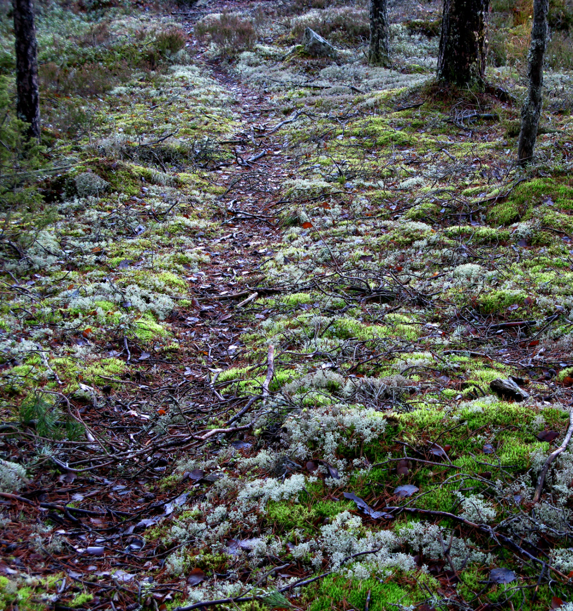 path