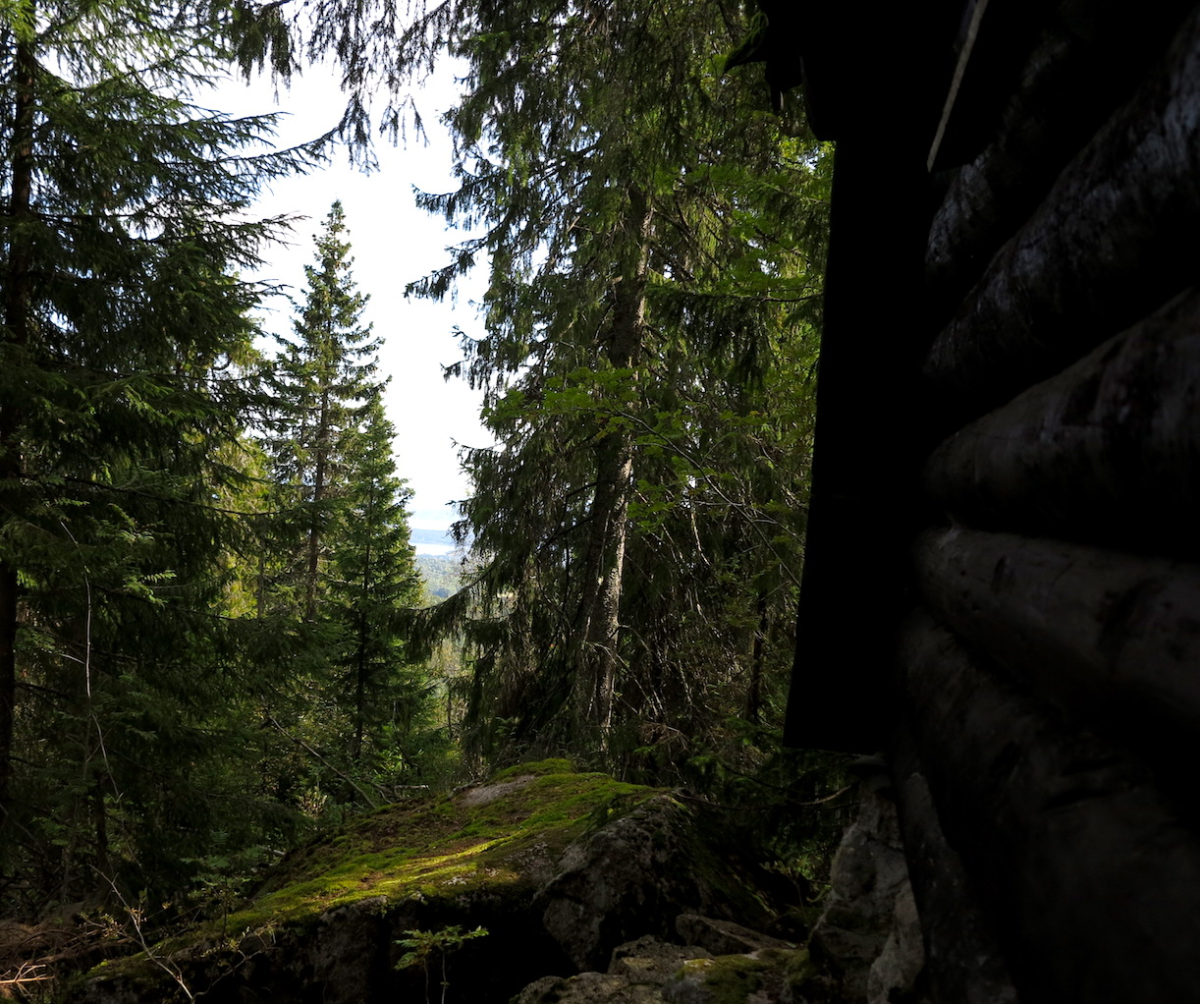 it could have been such a view…