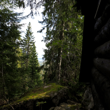 it could have been such a view…