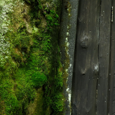 door