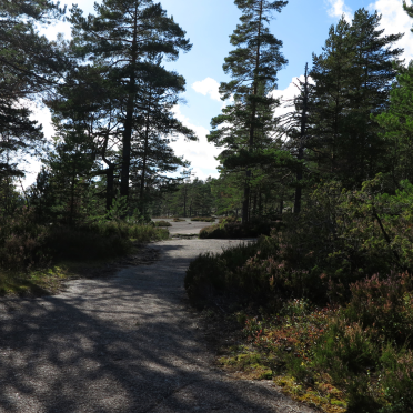 Blåfjell