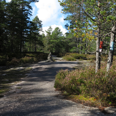 three navigational markers