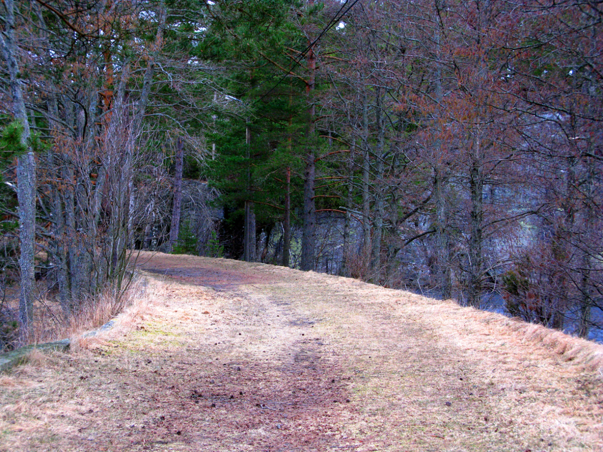 the road