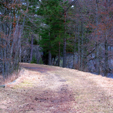the road
