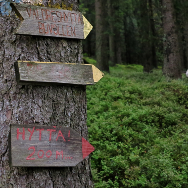 westie wayfinding