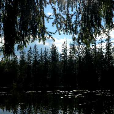 lake