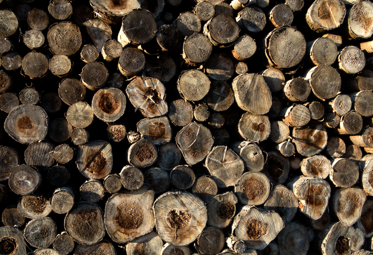 timber