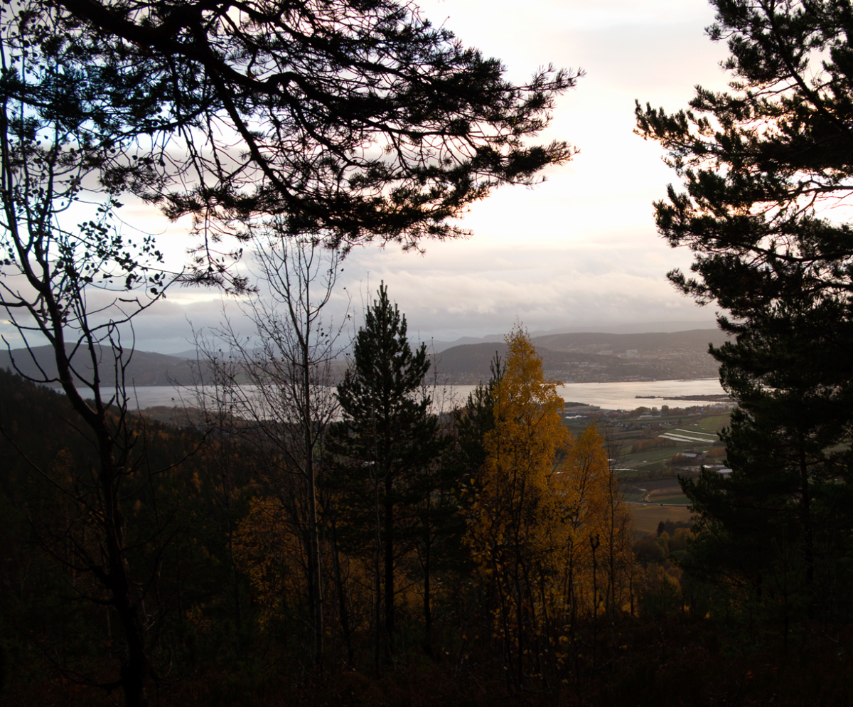 view