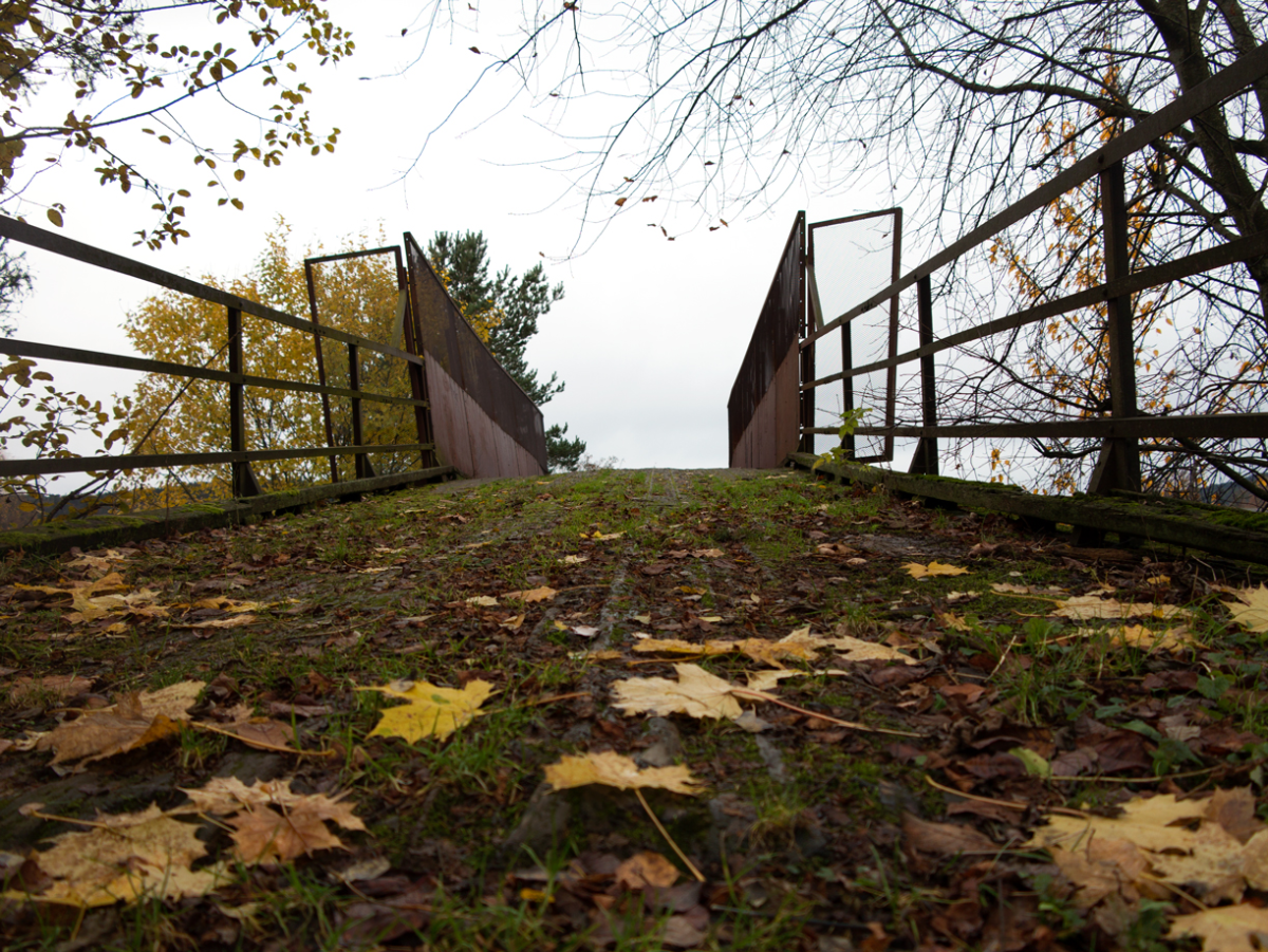 bridge
