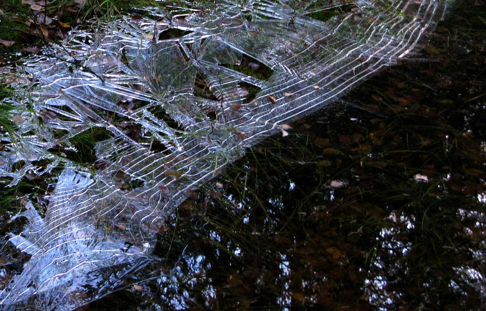 ice nine