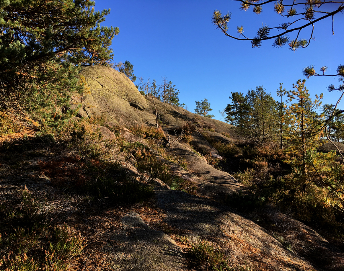 summit