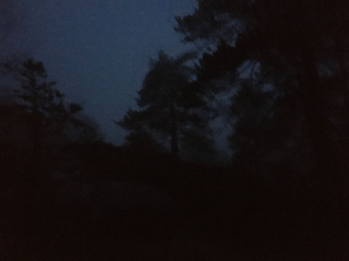 night