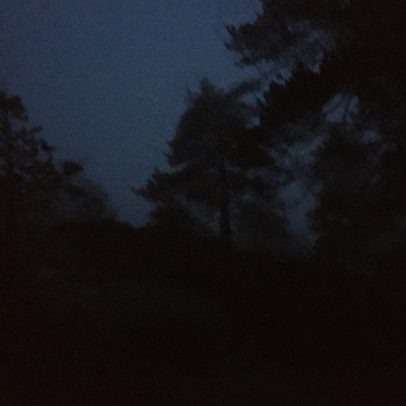 night