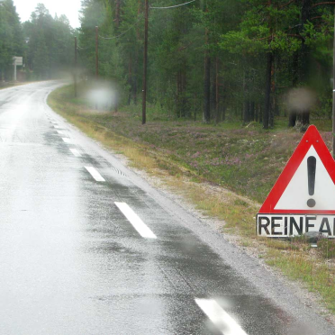 reindeer warning