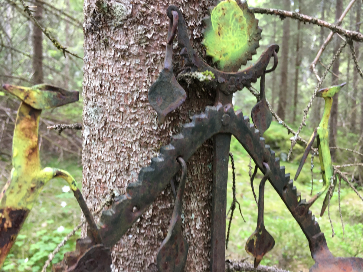 decorated forest