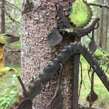 decorated forest