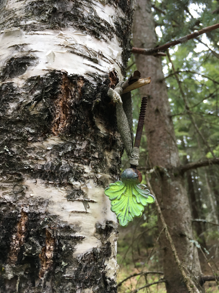decorated forest